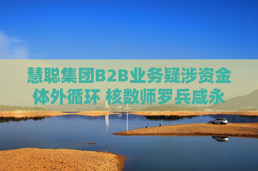 慧聪集团B2B业务疑涉资金体外循环 核数师罗兵咸永道被“赶走”