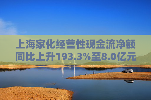 上海家化经营性现金流净额同比上升193.3%至8.0亿元