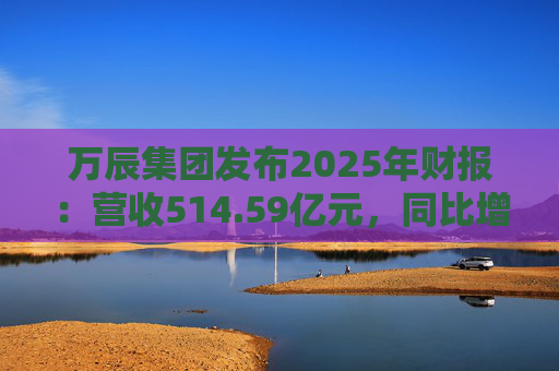 万辰集团发布2025年财报：营收514.59亿元，同比增长59.17%