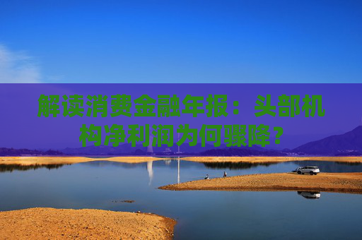 解读消费金融年报：头部机构净利润为何骤降？
