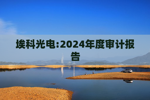 埃科光电:2024年度审计报告  第1张