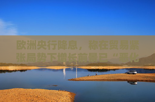 欧洲央行降息，称在贸易紧张局势下增长前景已“恶化”