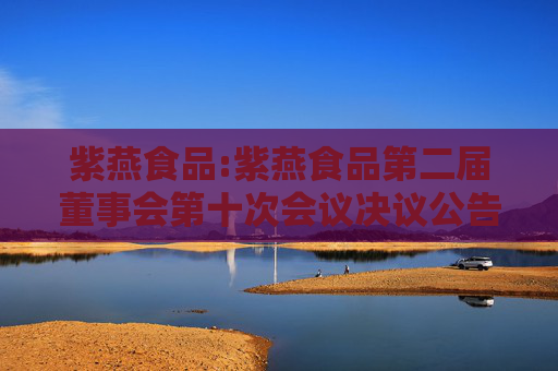 紫燕食品:紫燕食品第二届董事会第十次会议决议公告