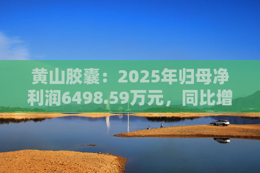 黄山胶囊：2025年归母净利润6498.59万元，同比增长31.94%