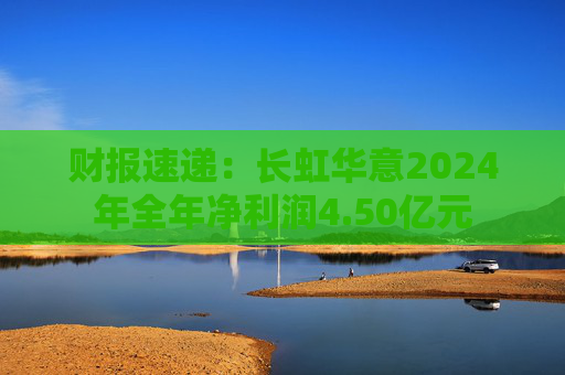 财报速递：长虹华意2024年全年净利润4.50亿元