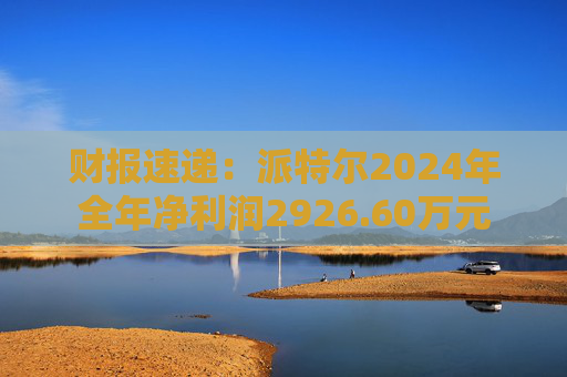 财报速递：派特尔2024年全年净利润2926.60万元