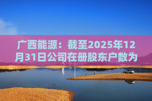 广西能源：截至2025年12月31日公司在册股东户数为53413户