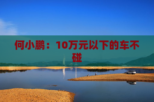 何小鹏：10万元以下的车不碰