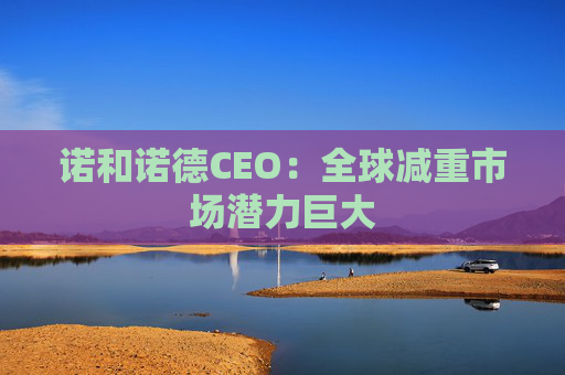诺和诺德CEO：全球减重市场潜力巨大
