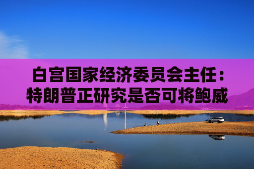 白宫国家经济委员会主任：特朗普正研究是否可将鲍威尔解职