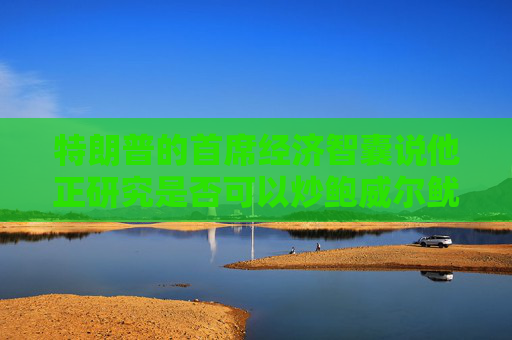 特朗普的首席经济智囊说他正研究是否可以炒鲍威尔鱿鱼