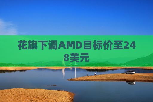 花旗下调AMD目标价至248美元
