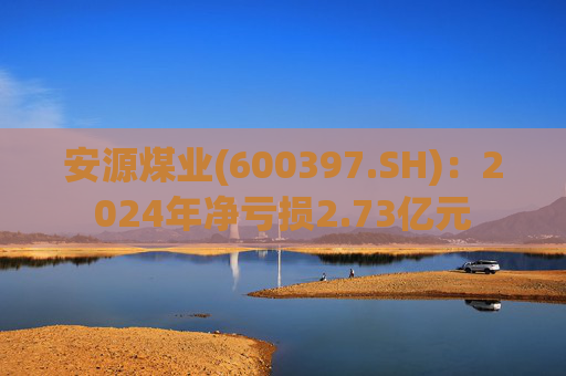 安源煤业(600397.SH)：2024年净亏损2.73亿元