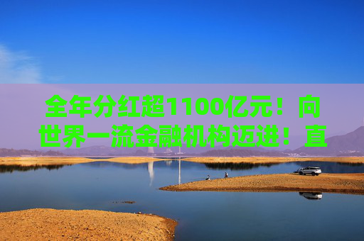 全年分红超1100亿元！向世界一流金融机构迈进！直击工行2025年业绩会