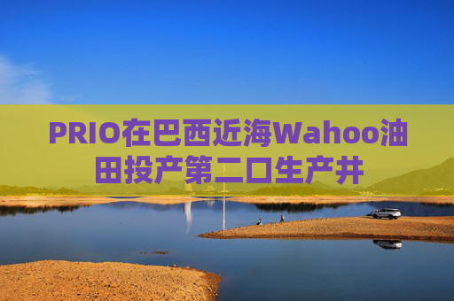PRIO在巴西近海Wahoo油田投产第二口生产井