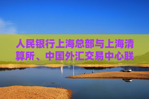 人民银行上海总部与上海清算所、中国外汇交易中心联合举办银行间衍生品扩大开放专题座谈会  第1张