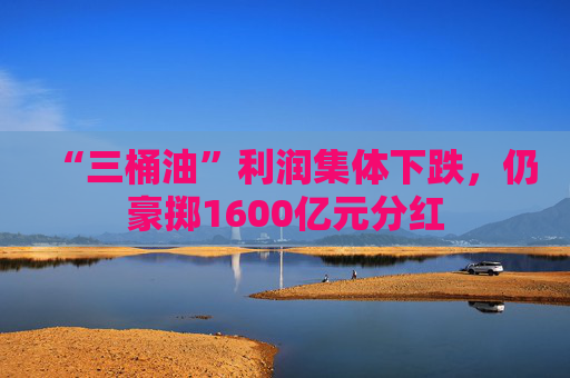 “三桶油”利润集体下跌，仍豪掷1600亿元分红