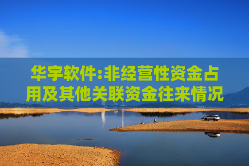 华宇软件:非经营性资金占用及其他关联资金往来情况汇总表  第1张