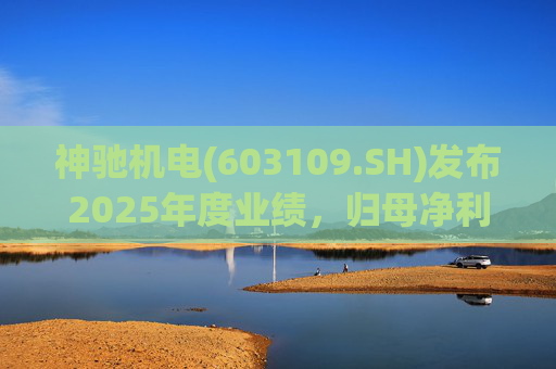神驰机电(603109.SH)发布2025年度业绩，归母净利润1.34亿元，同比下降30.94%