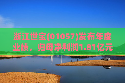 浙江世宝(01057)发布年度业绩，归母净利润1.81亿元 同比增加21.05%