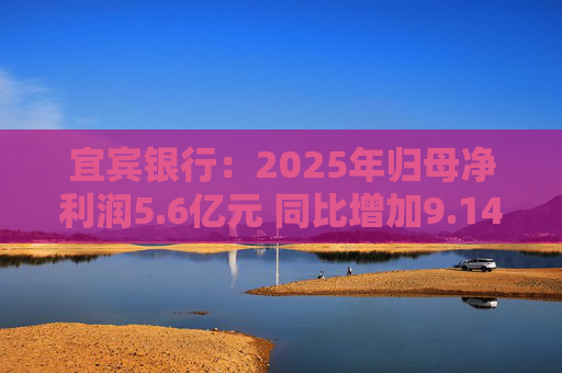 宜宾银行：2025年归母净利润5.6亿元 同比增加9.14%