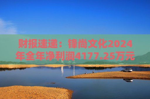 财报速递：锋尚文化2024年全年净利润4177.25万元  第1张
