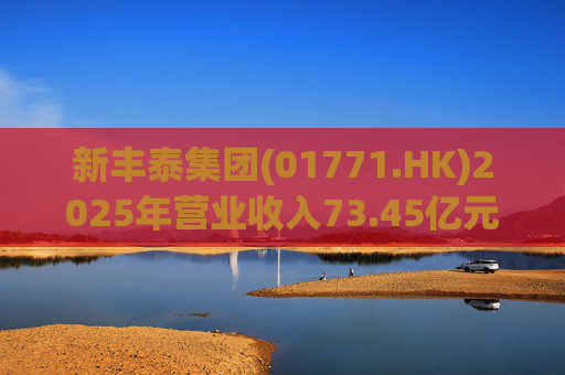 新丰泰集团(01771.HK)2025年营业收入73.45亿元，同比下降14.7%