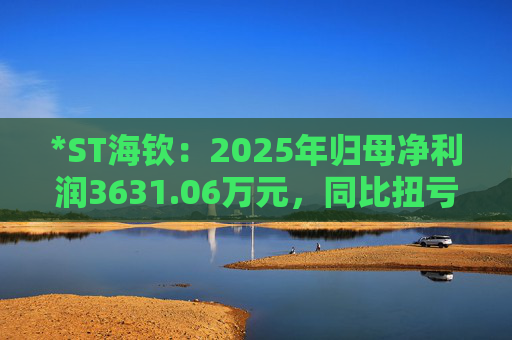 *ST海钦：2025年归母净利润3631.06万元，同比扭亏为盈