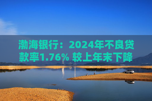 渤海银行：2024年不良贷款率1.76% 较上年末下降0.02个百分点  第1张