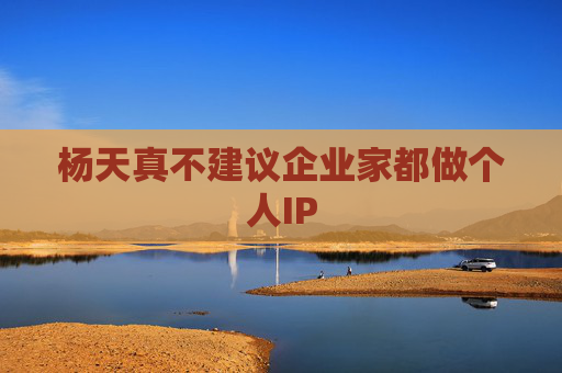 杨天真不建议企业家都做个人IP