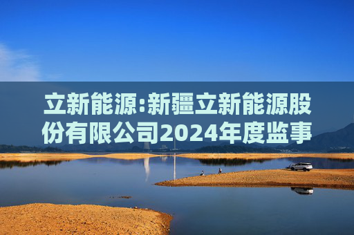 立新能源:新疆立新能源股份有限公司2024年度监事会工作报告