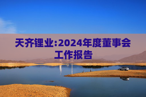 天齐锂业:2024年度董事会工作报告