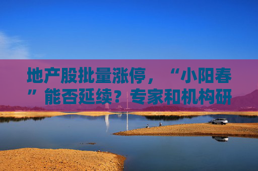 地产股批量涨停，“小阳春”能否延续？专家和机构研判来了