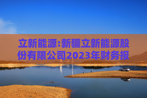 立新能源:新疆立新能源股份有限公司2023年财务报表审计报告书  第1张