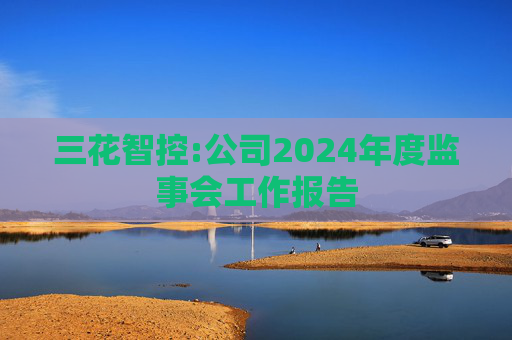 三花智控:公司2024年度监事会工作报告