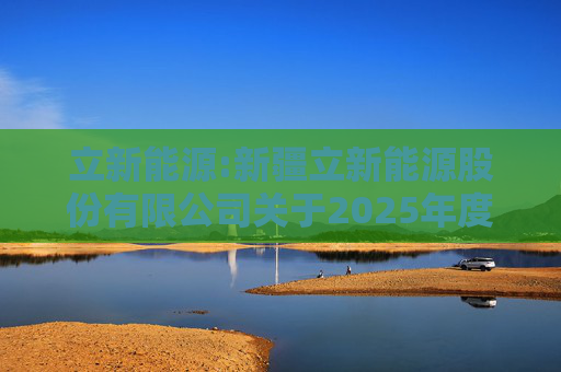 立新能源:新疆立新能源股份有限公司关于2025年度日常关联交易预计的公告  第1张
