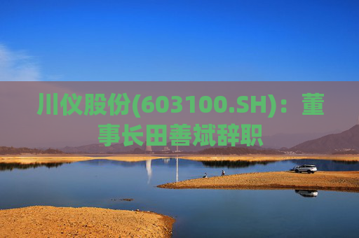 川仪股份(603100.SH)：董事长田善斌辞职