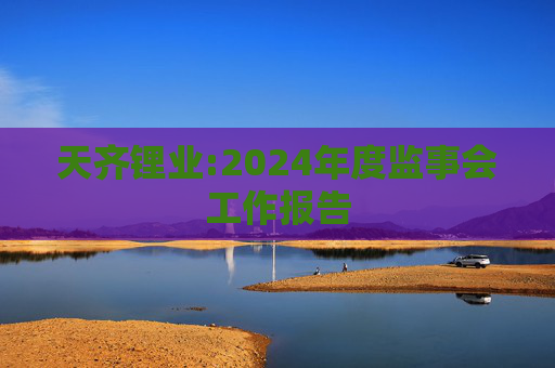 天齐锂业:2024年度监事会工作报告