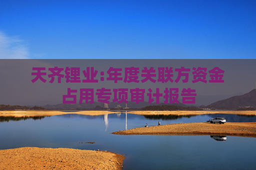 天齐锂业:年度关联方资金占用专项审计报告