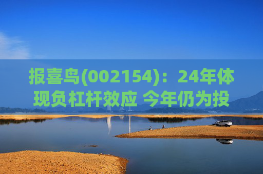 报喜鸟(002154)：24年体现负杠杆效应 今年仍为投入年