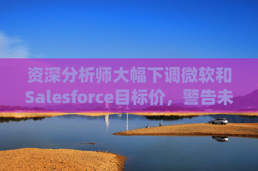 资深分析师大幅下调微软和Salesforce目标价，警告未来一年将"艰难"