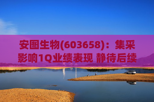 安图生物(603658)：集采影响1Q业绩表现 静待后续恢复