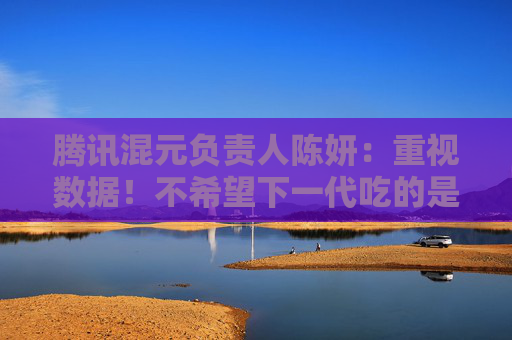 腾讯混元负责人陈妍：重视数据！不希望下一代吃的是大模型吐出来的垃圾