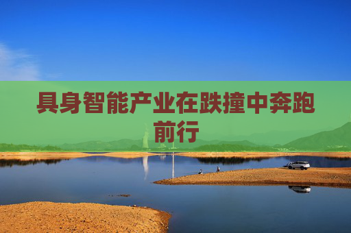 具身智能产业在跌撞中奔跑前行