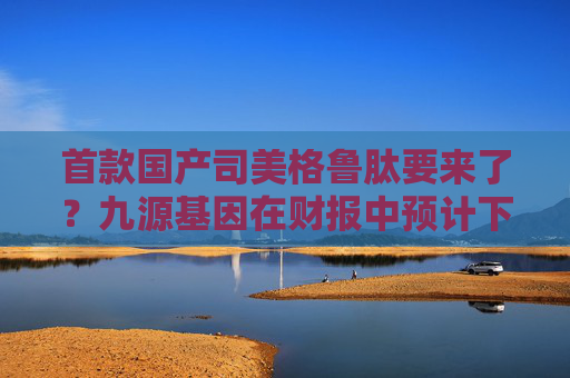 首款国产司美格鲁肽要来了？九源基因在财报中预计下半年获批  第1张