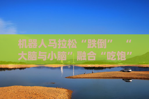机器人马拉松“跌倒”  “大脑与小脑”融合“吃饱”
