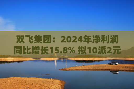 双飞集团：2024年净利润同比增长15.8% 拟10派2元