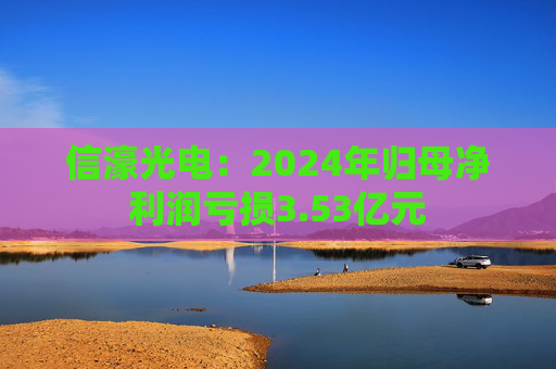 信濠光电：2024年归母净利润亏损3.53亿元