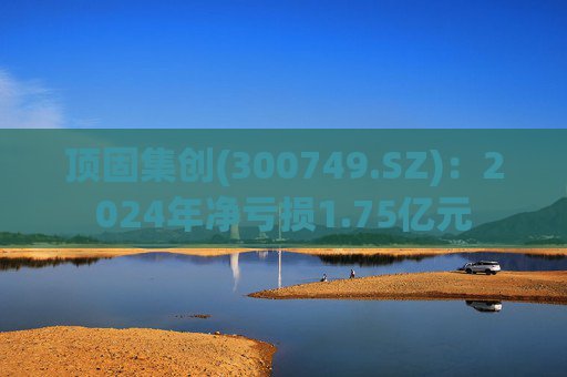 顶固集创(300749.SZ)：2024年净亏损1.75亿元  第1张