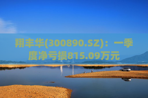 翔丰华(300890.SZ)：一季度净亏损815.09万元